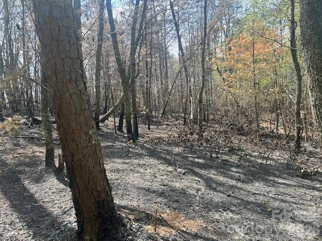 TBD Mountain View Circle