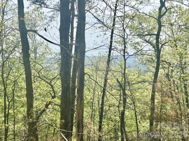 TBD Mountain View Circle