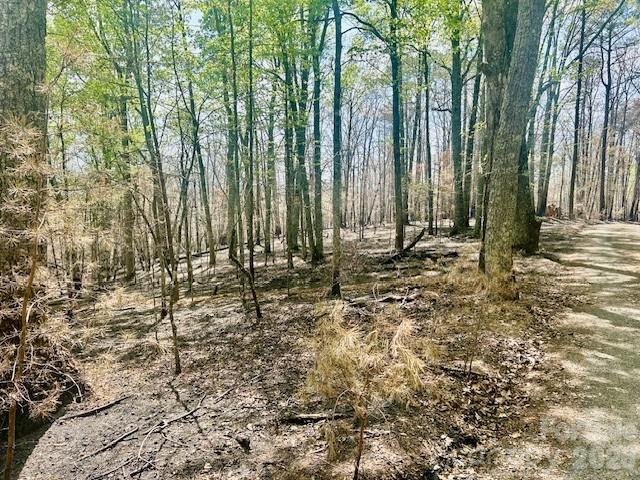 TBD Mountain View Circle