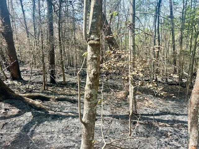 TBD Mountain View Circle