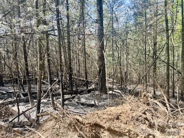 TBD Mountain View Circle