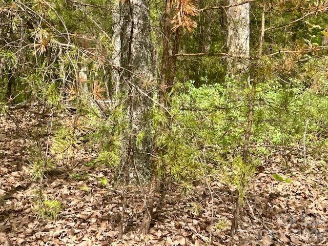 TBD Mountain View Circle