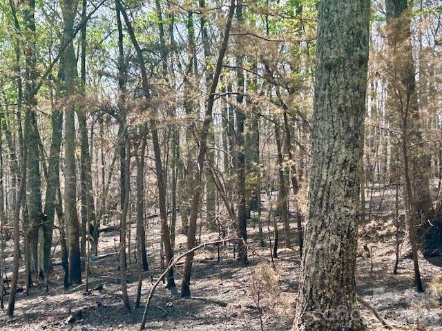 TBD Mountain View Circle