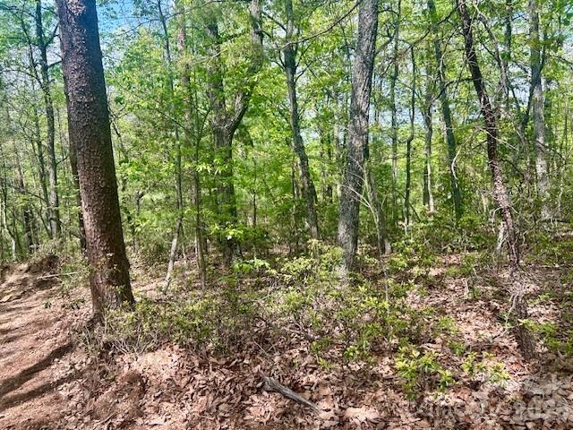 TBD Mountain View Circle