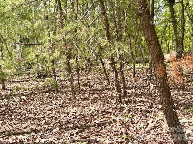 TBD Mountain View Circle