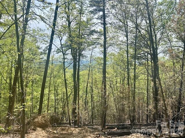 TBD Mountain View Circle