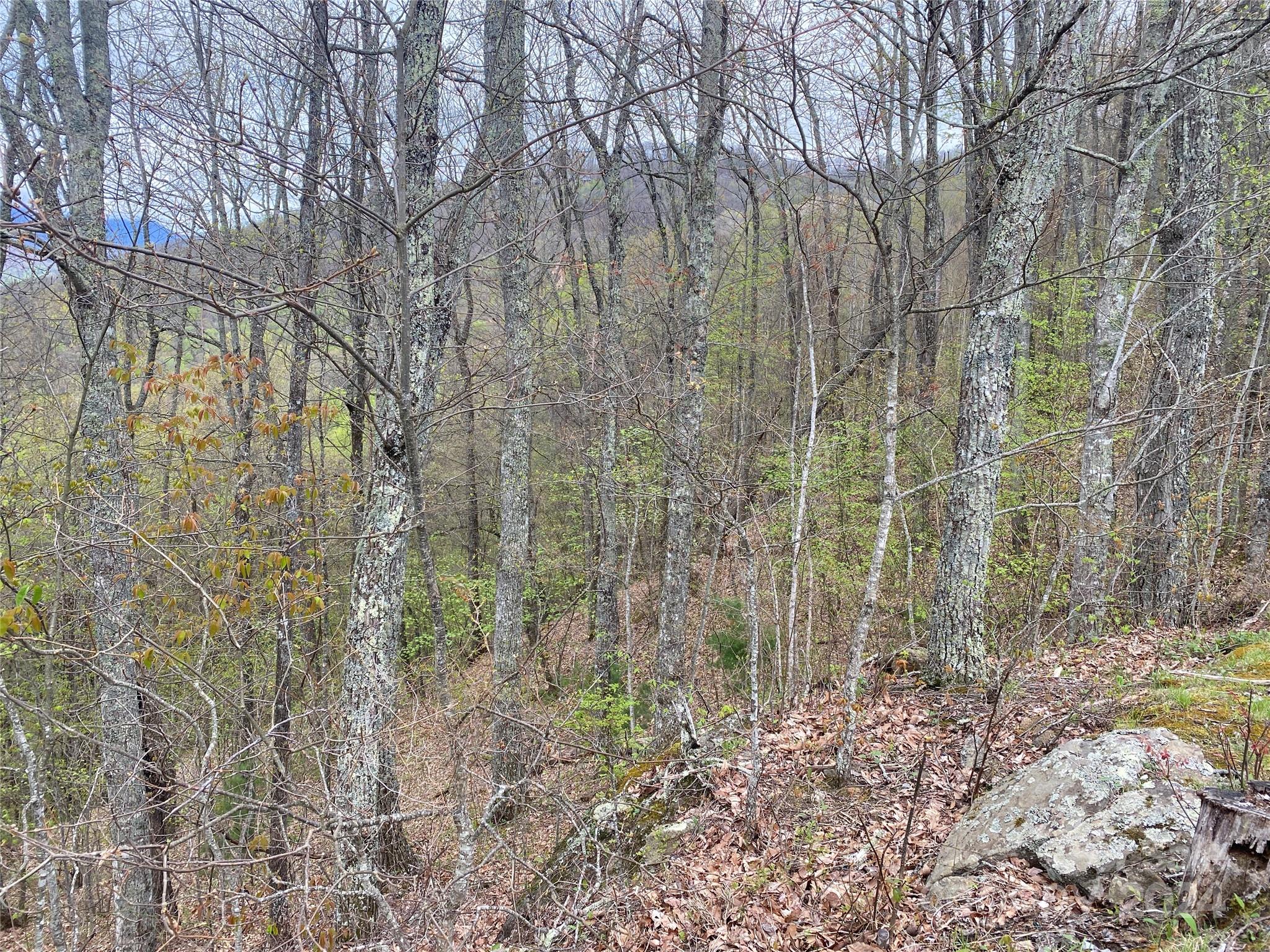 Lot 33 Heritage Ridge Road