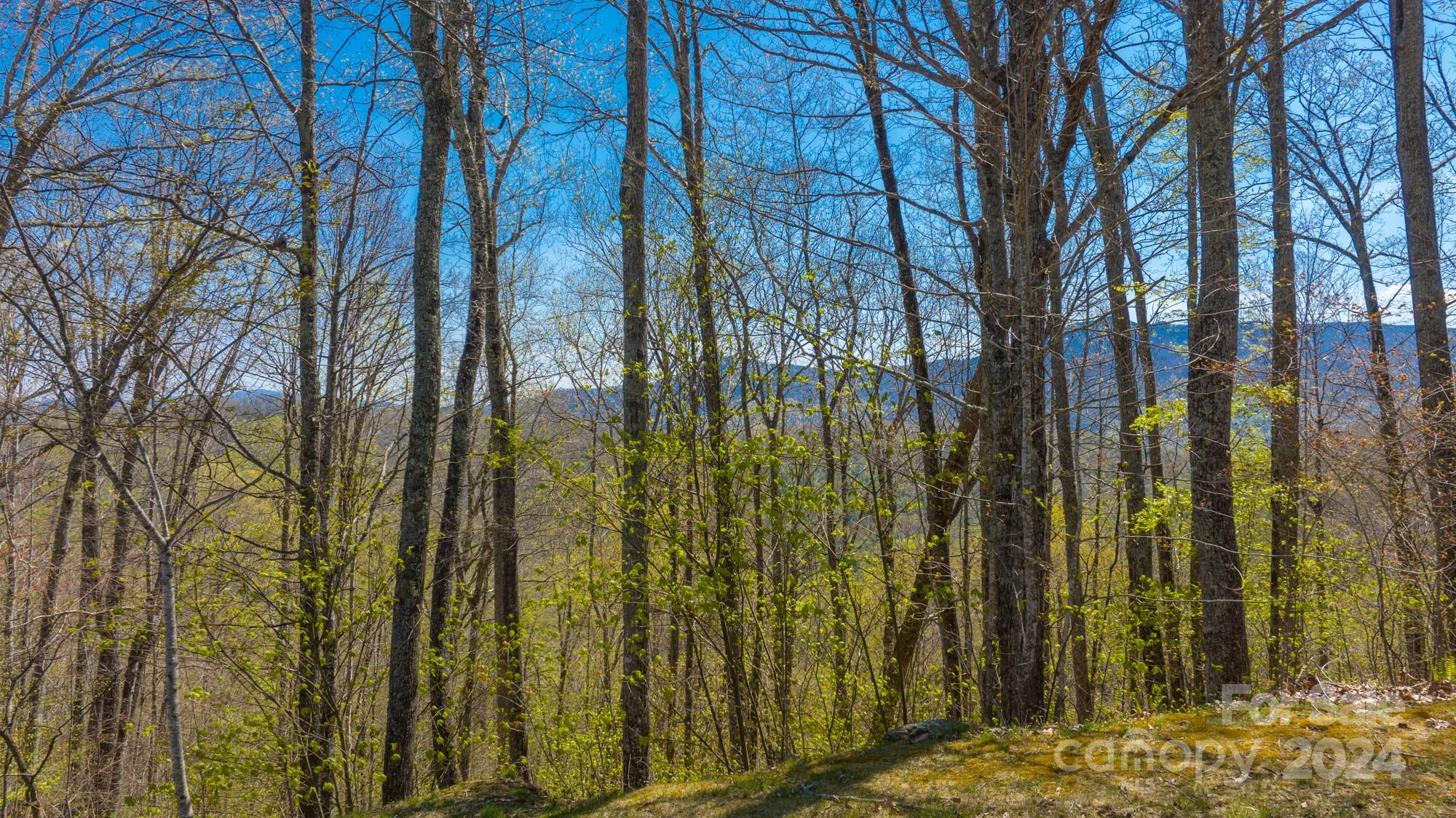 Lot 33 Heritage Ridge Road