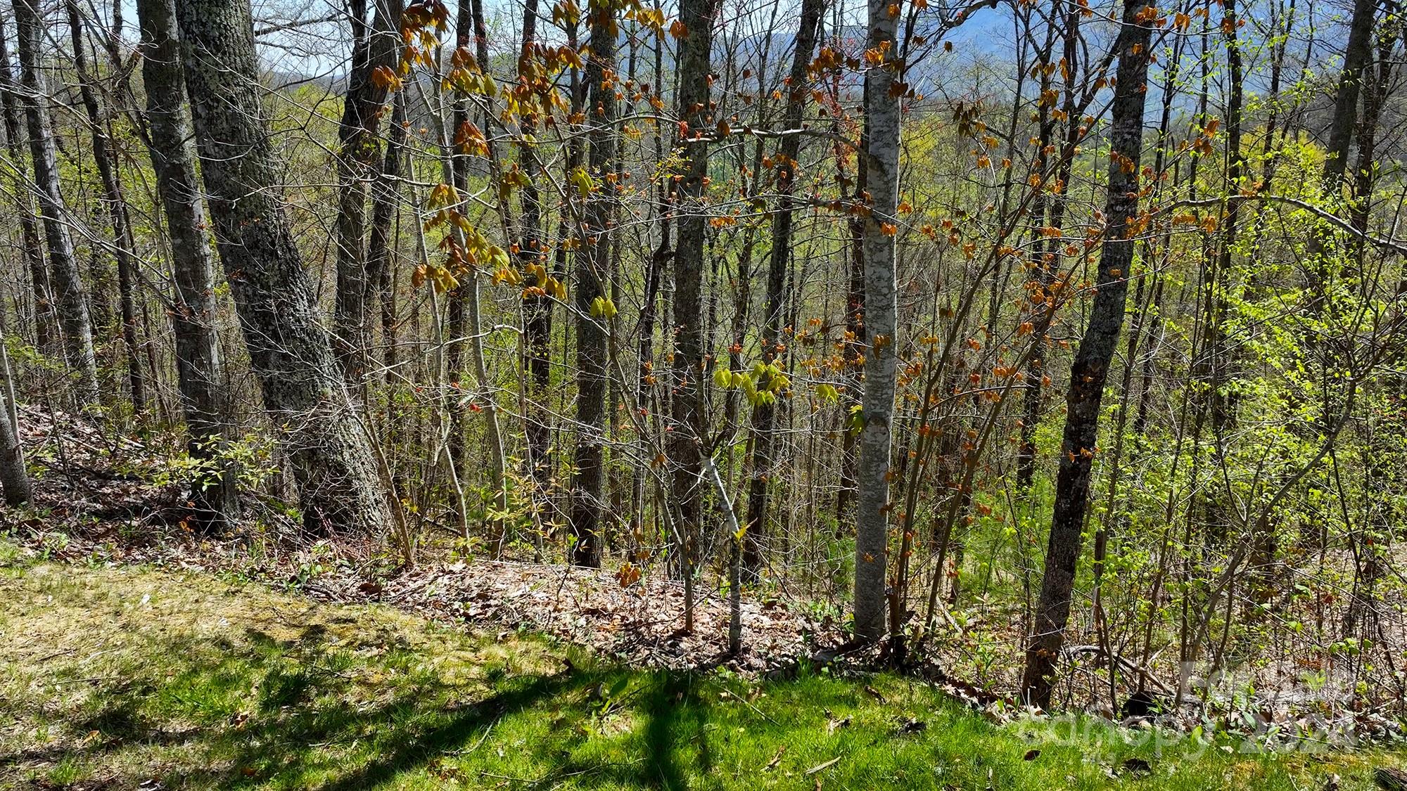 Lot 33 Heritage Ridge Road