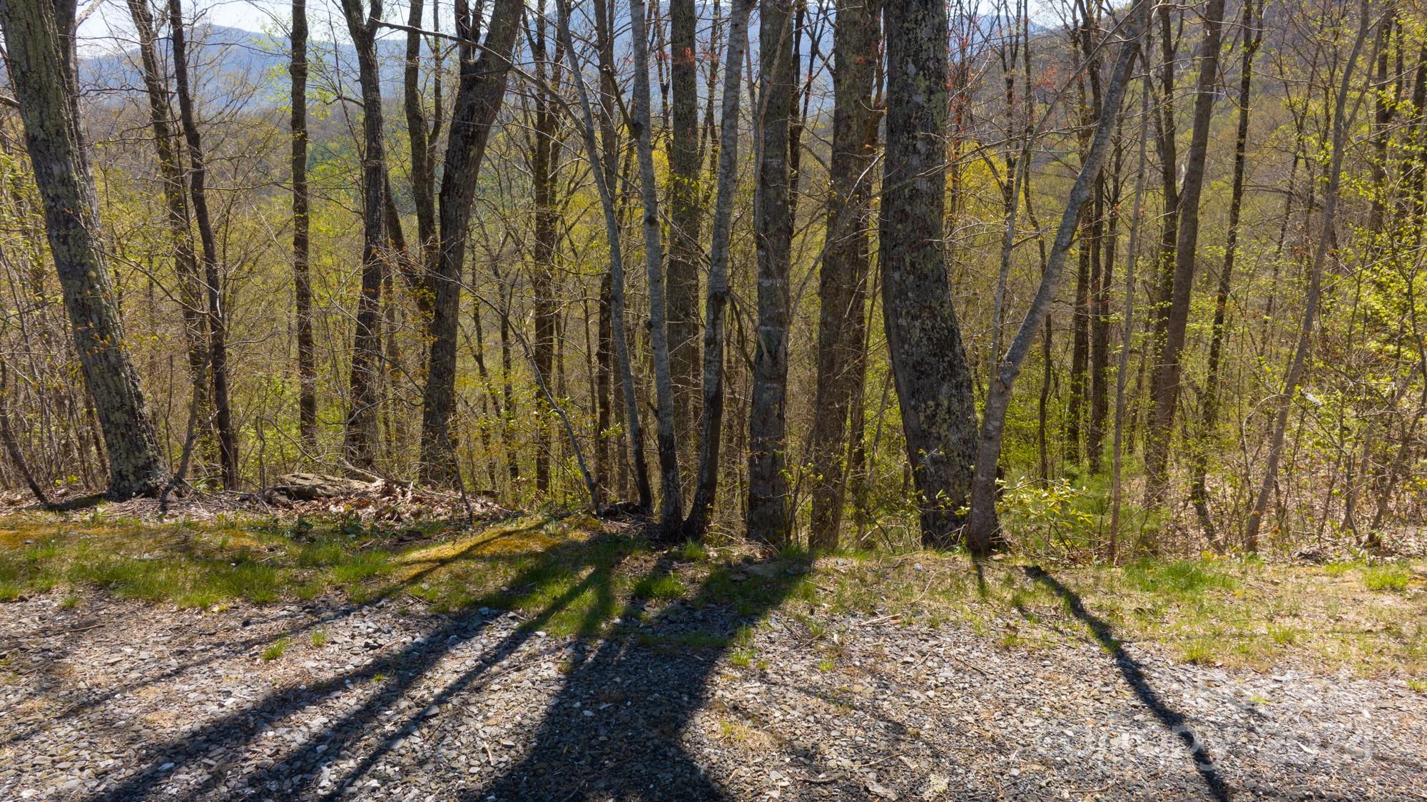 Lot 33 Heritage Ridge Road