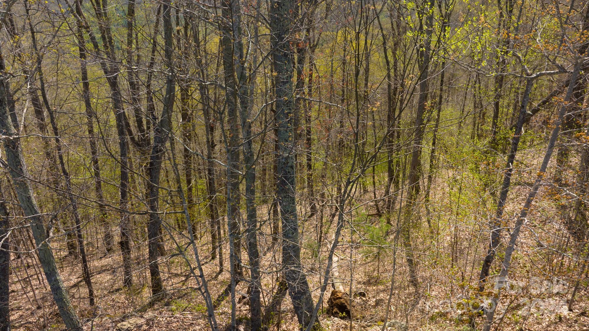 Lot 33 Heritage Ridge Road