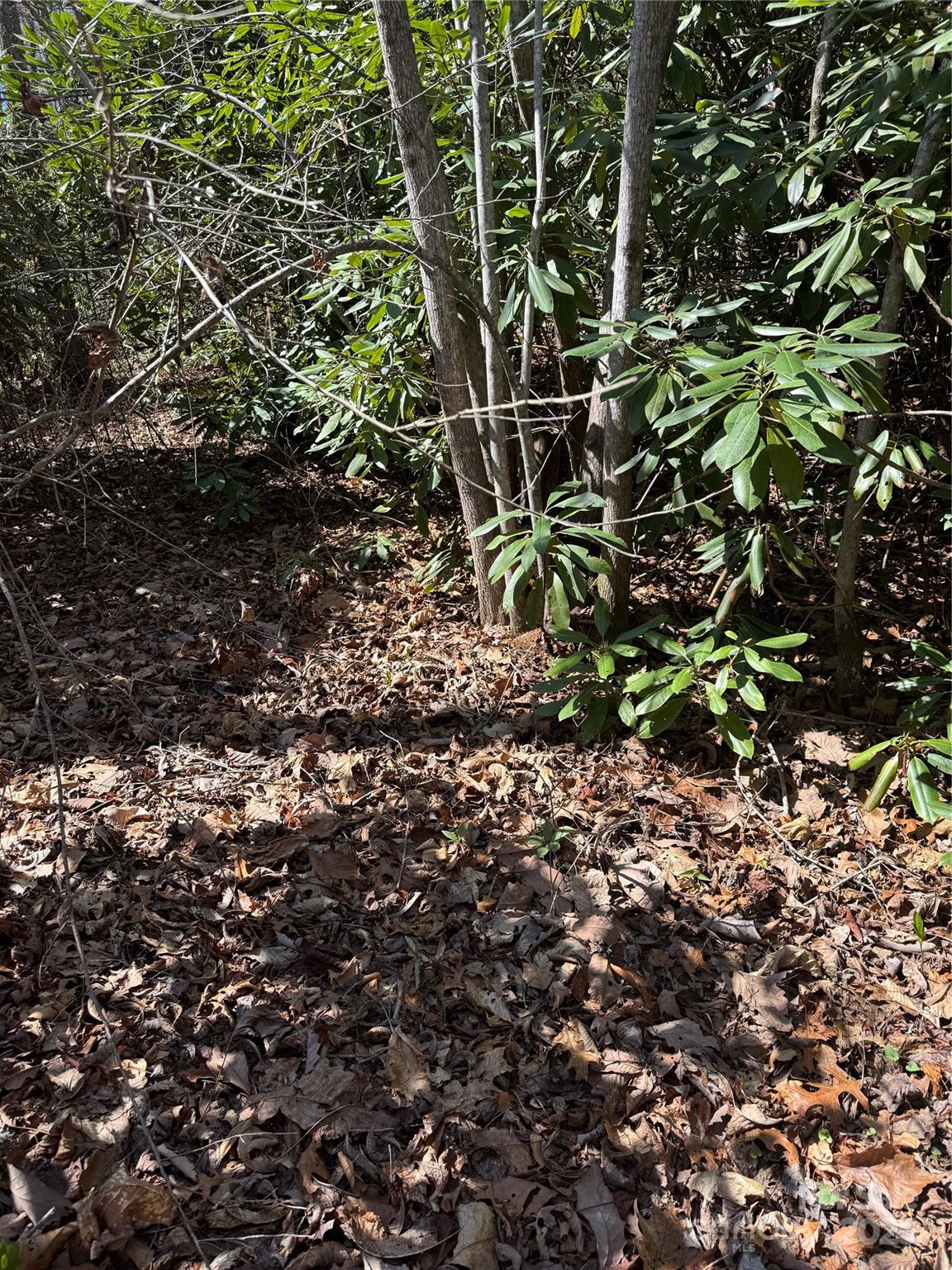 25 Settings Boulevard