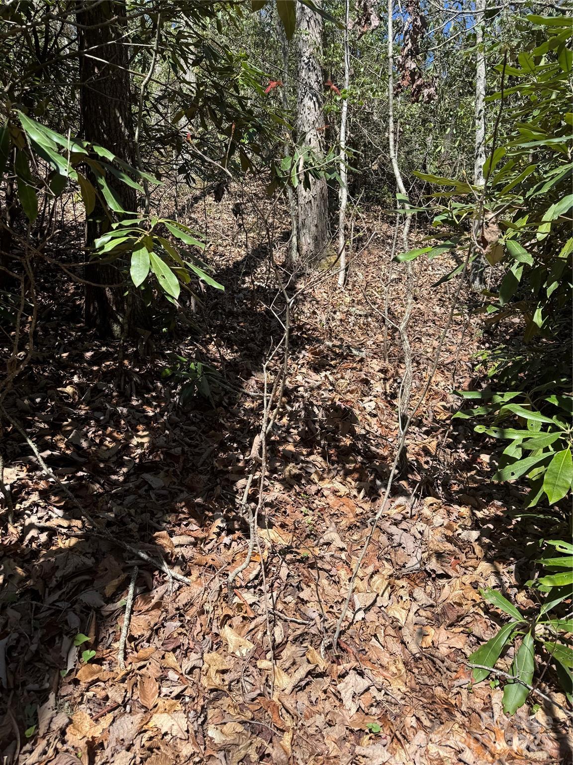 25 Settings Boulevard