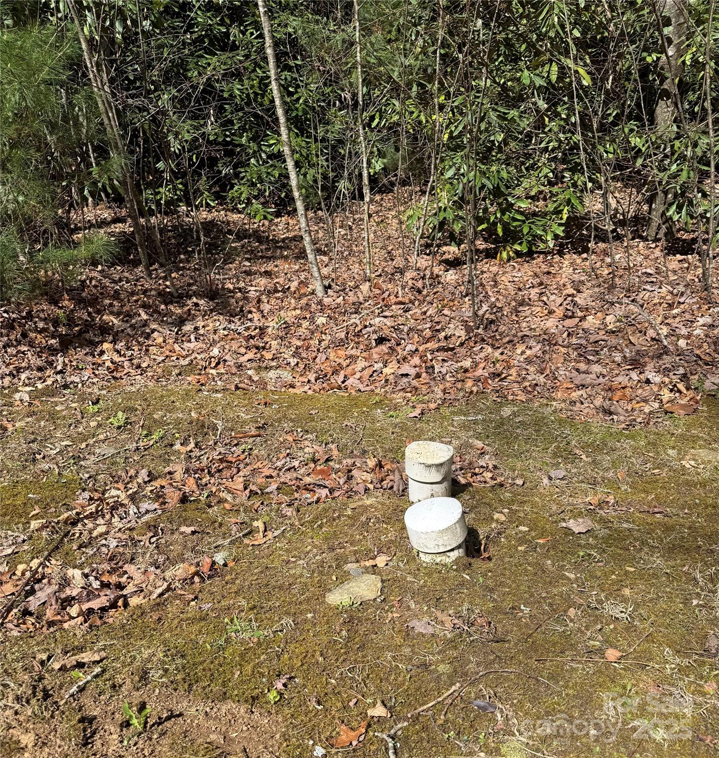 25 Settings Boulevard