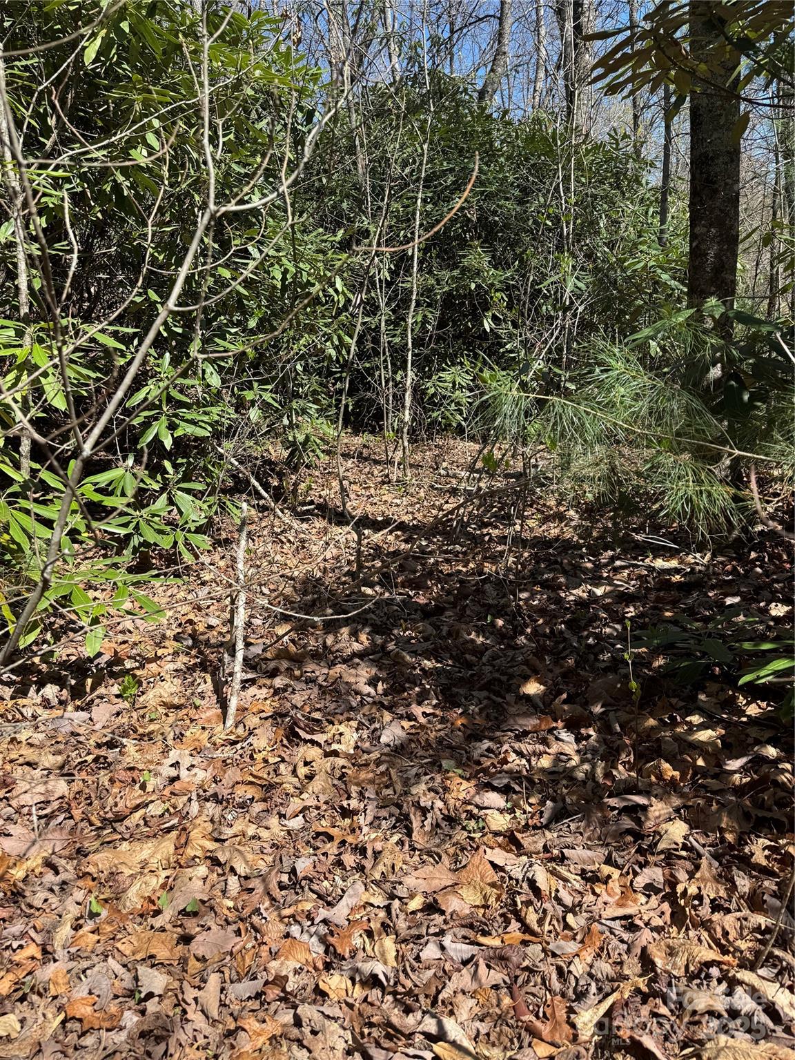 25 Settings Boulevard