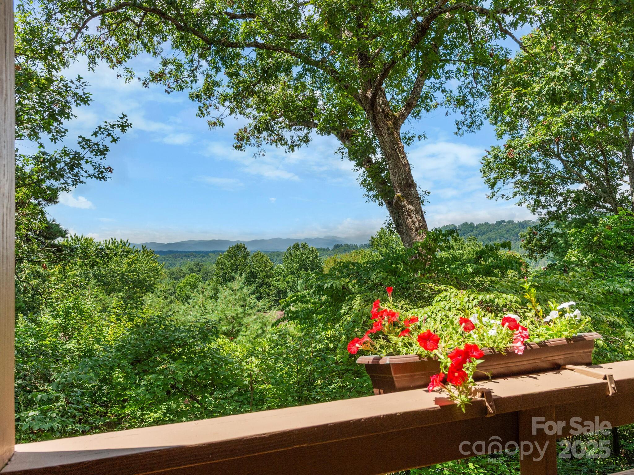 305 Piney Mountain Drive Unit: C-1