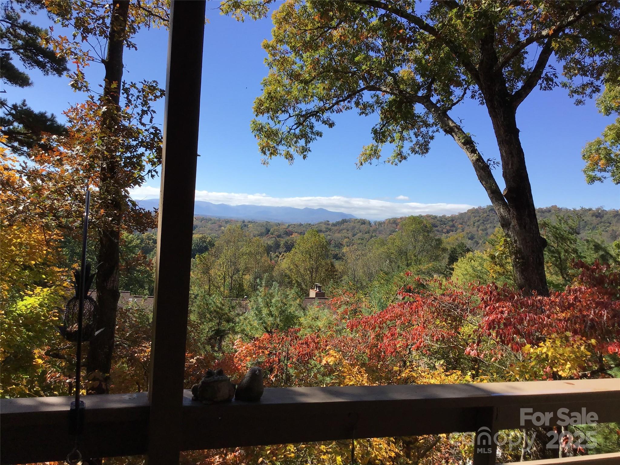 305 Piney Mountain Drive Unit: C-1