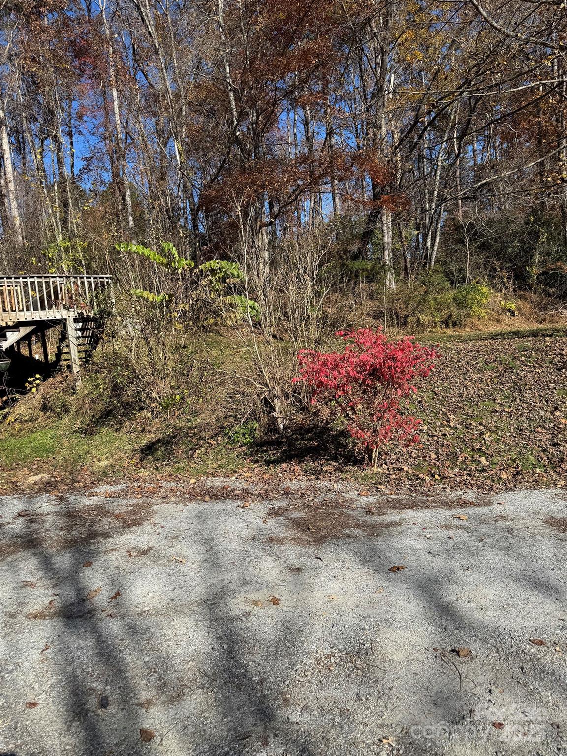 90 Buchanan Drive