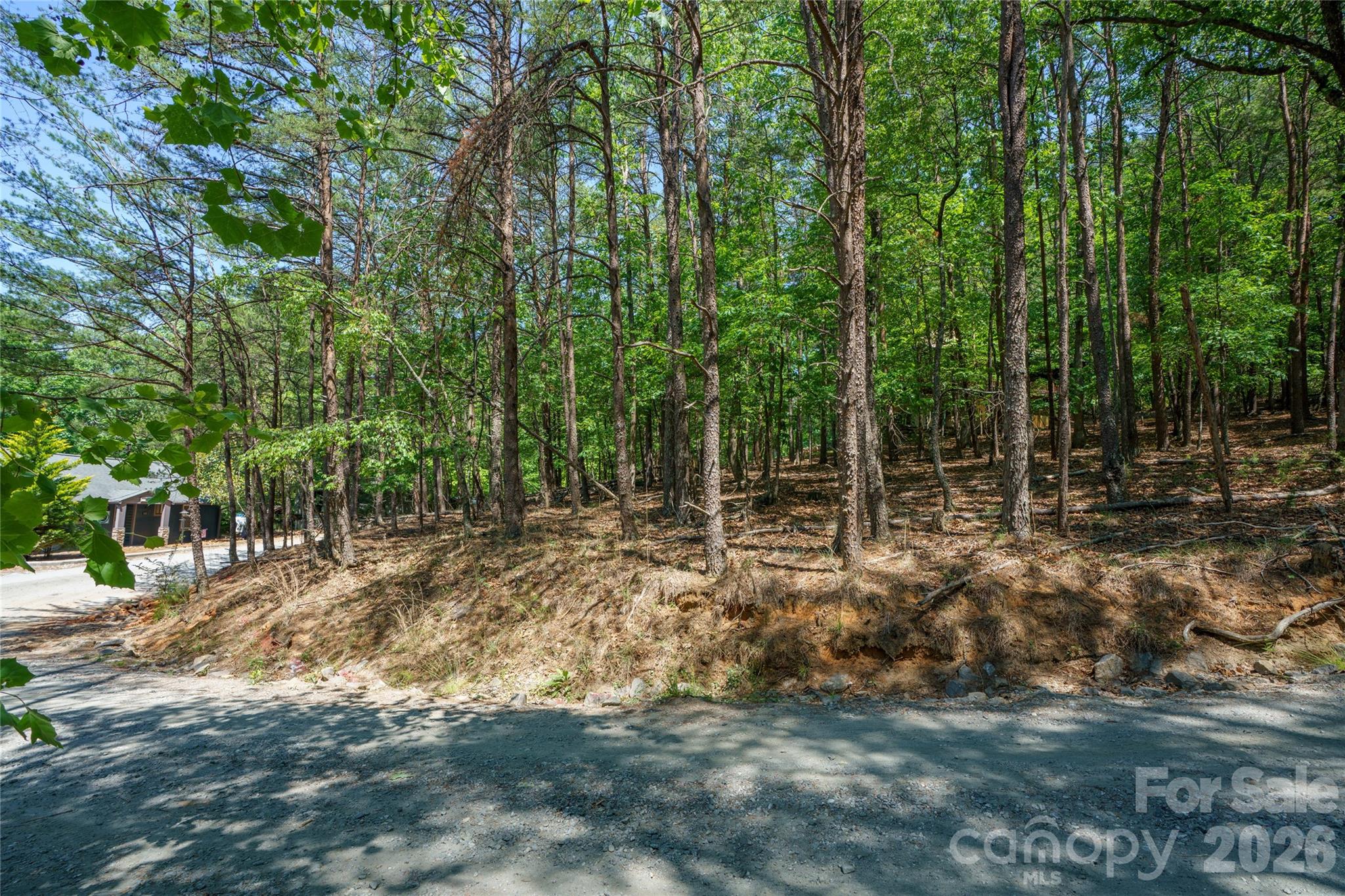 0000 View Trail