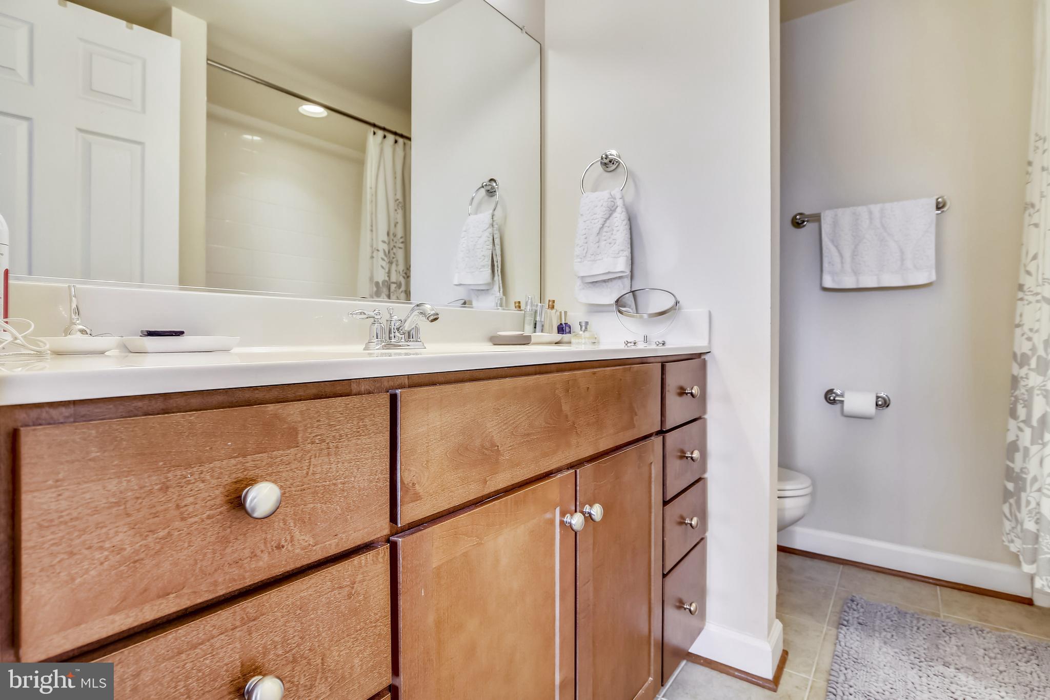 4113 S FOUR MILE RUN DRIVE 302