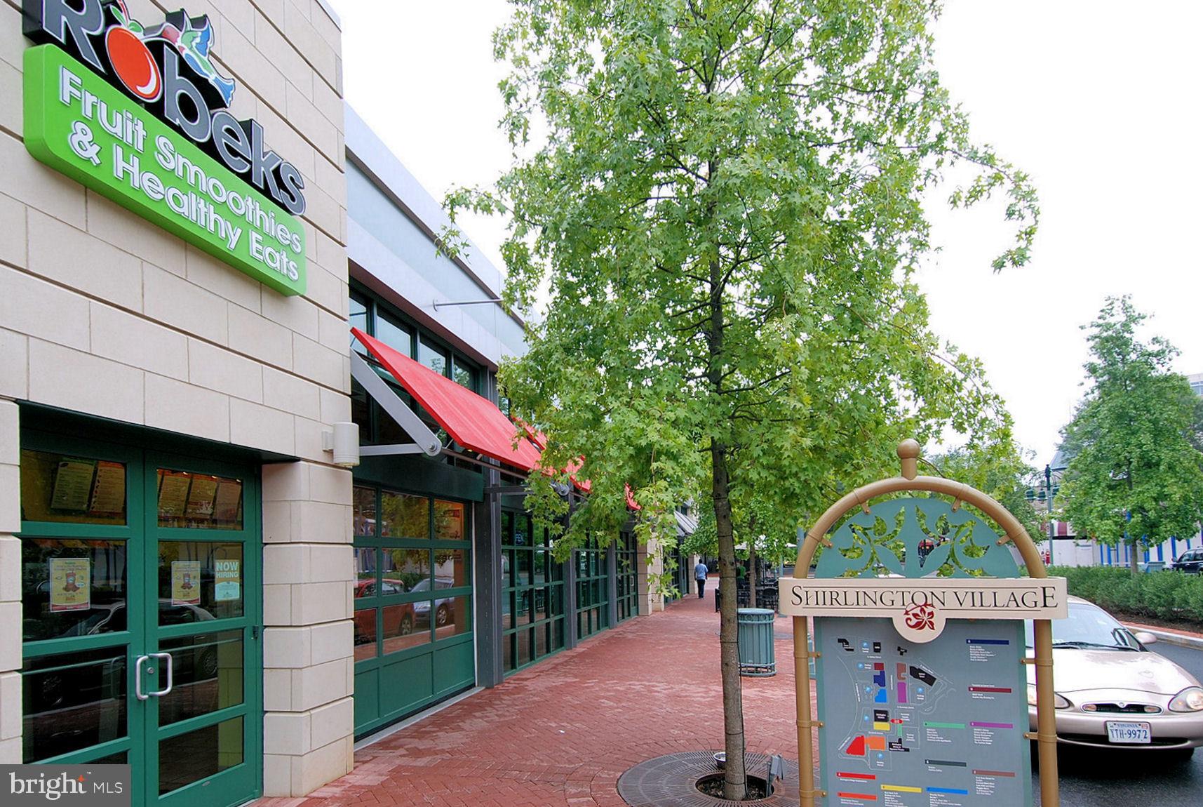 4113 S FOUR MILE RUN DRIVE 302