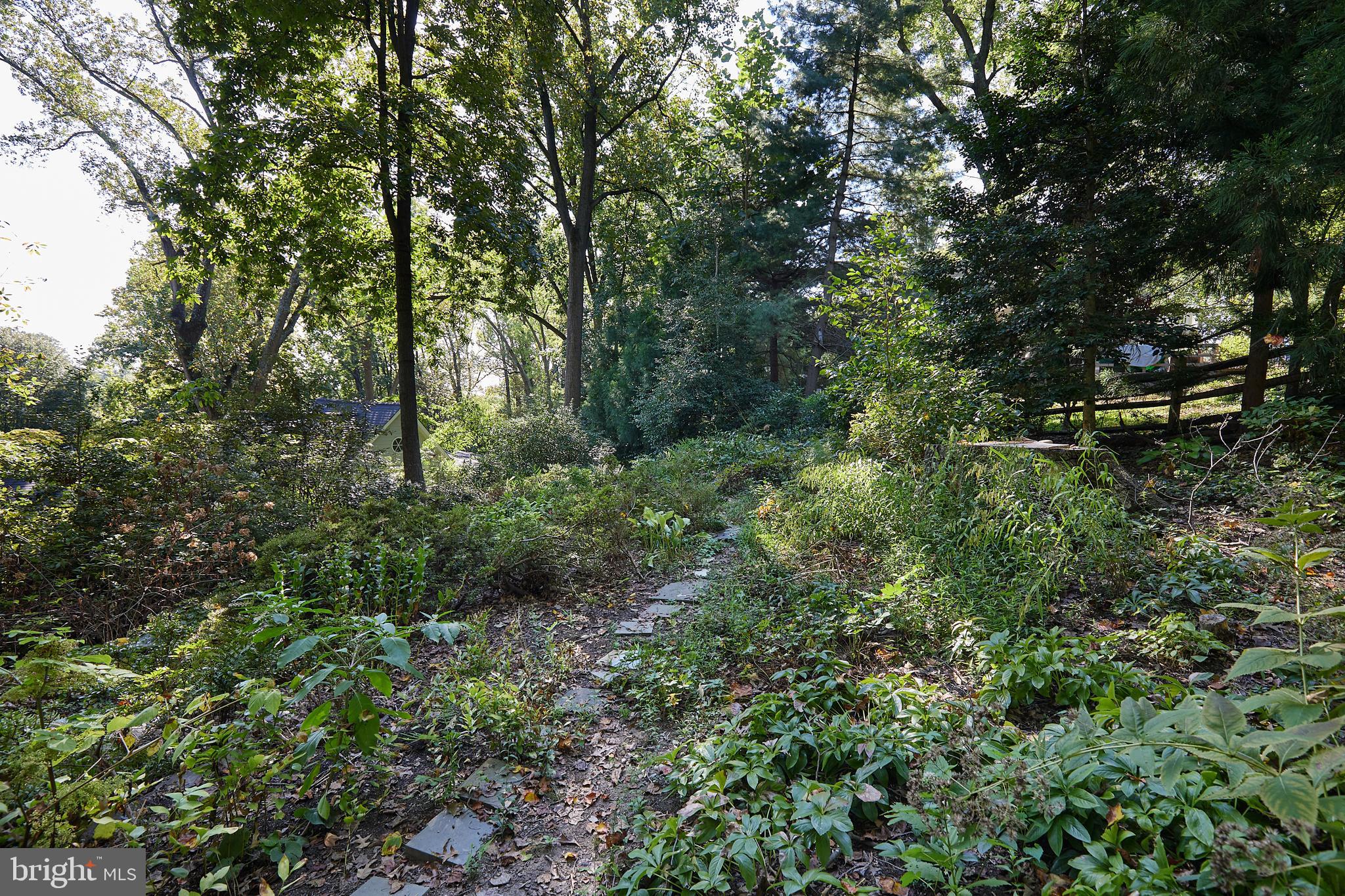 407 W Alexandria Ave