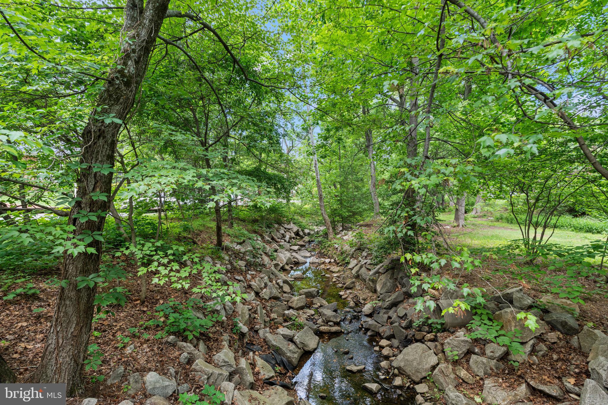 708 W Timber Branch Pkwy