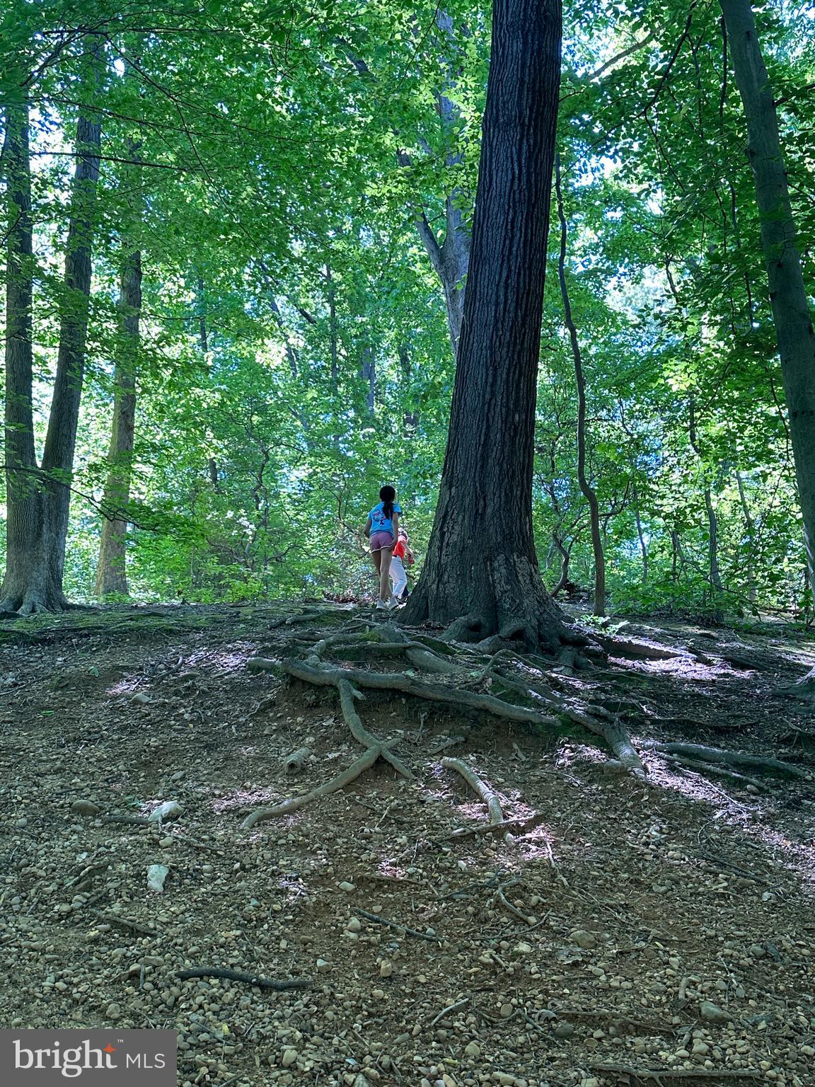 2913 OLD DOMINION BOULEVARD