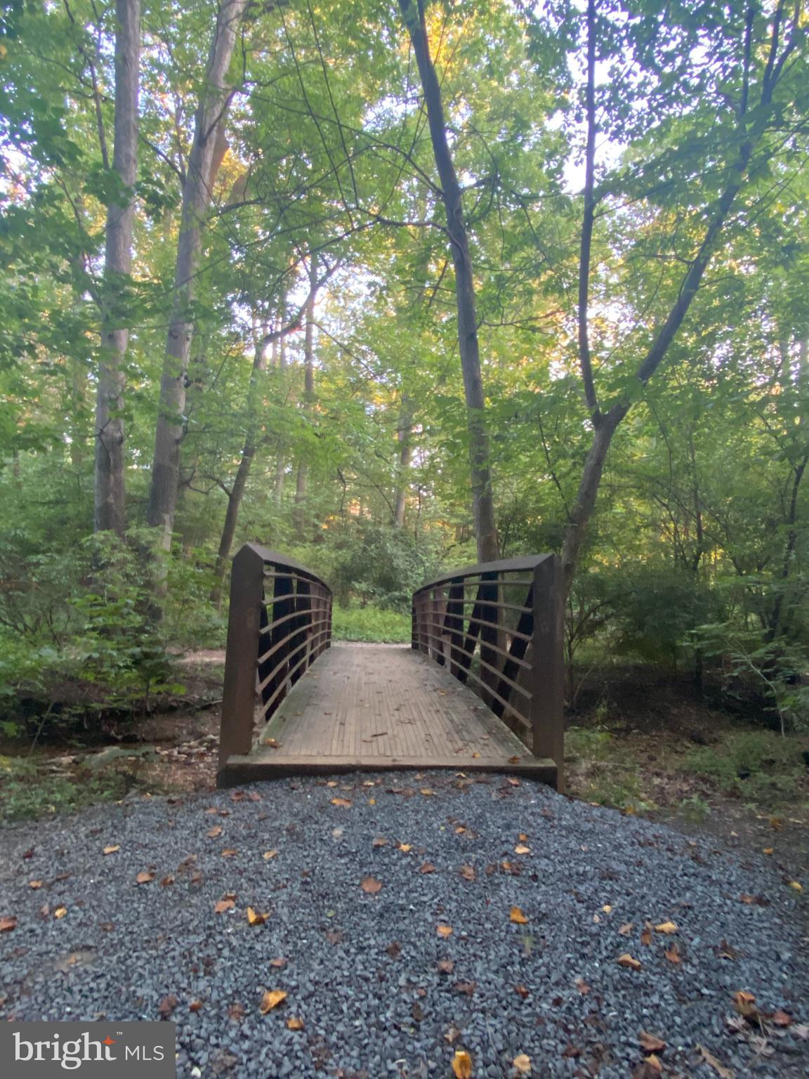 2913 OLD DOMINION BOULEVARD