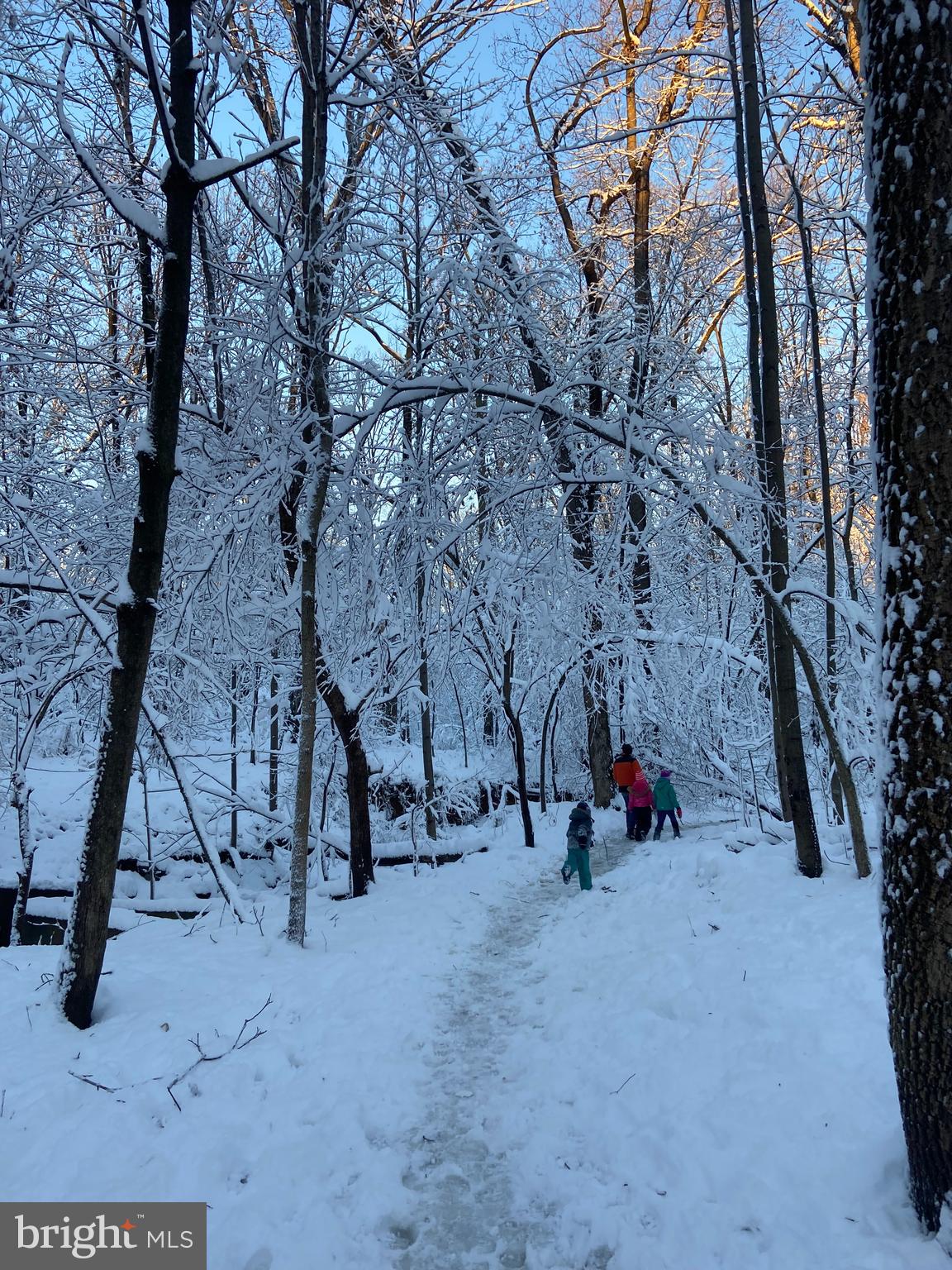 2913 OLD DOMINION BOULEVARD