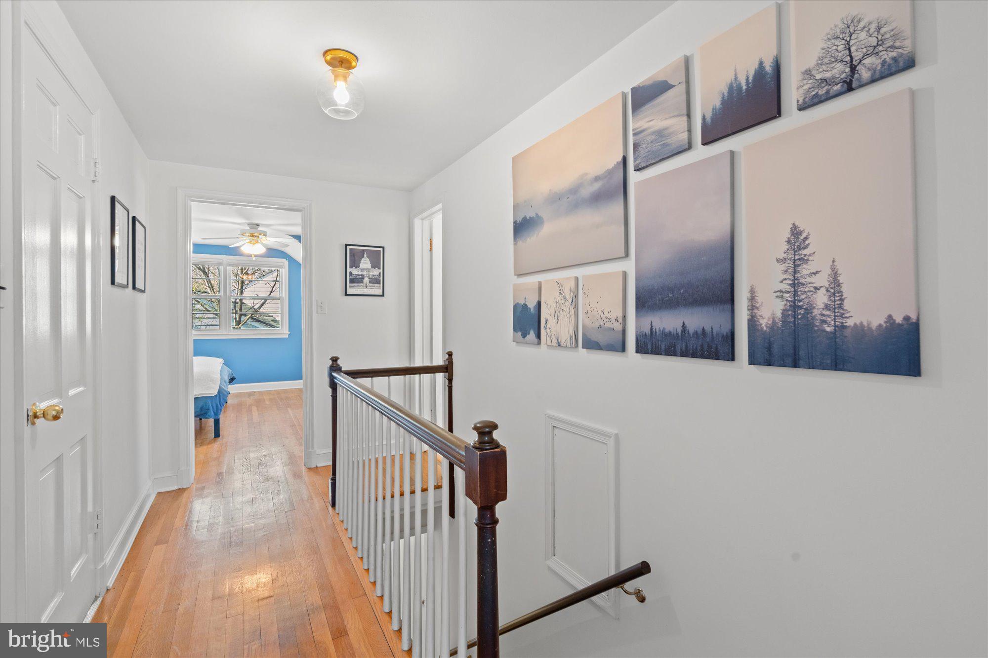 2913 OLD DOMINION BOULEVARD