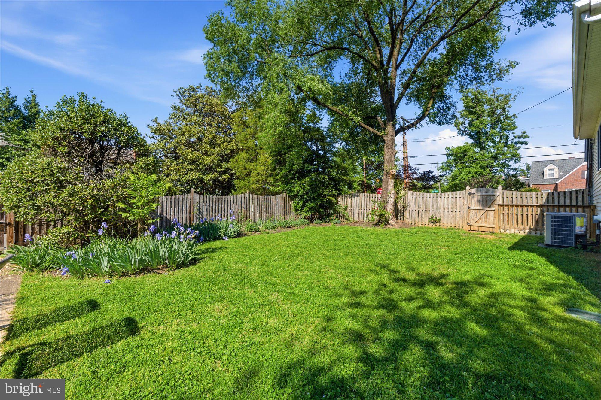 2434 CAMERON MILLS ROAD