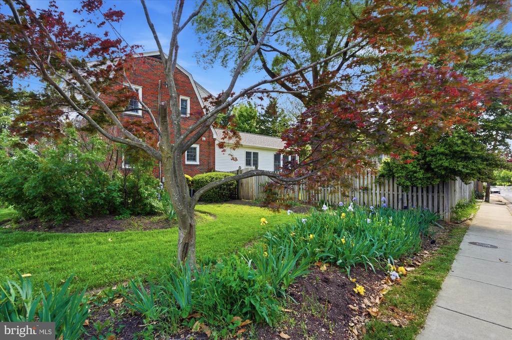 2434 CAMERON MILLS ROAD