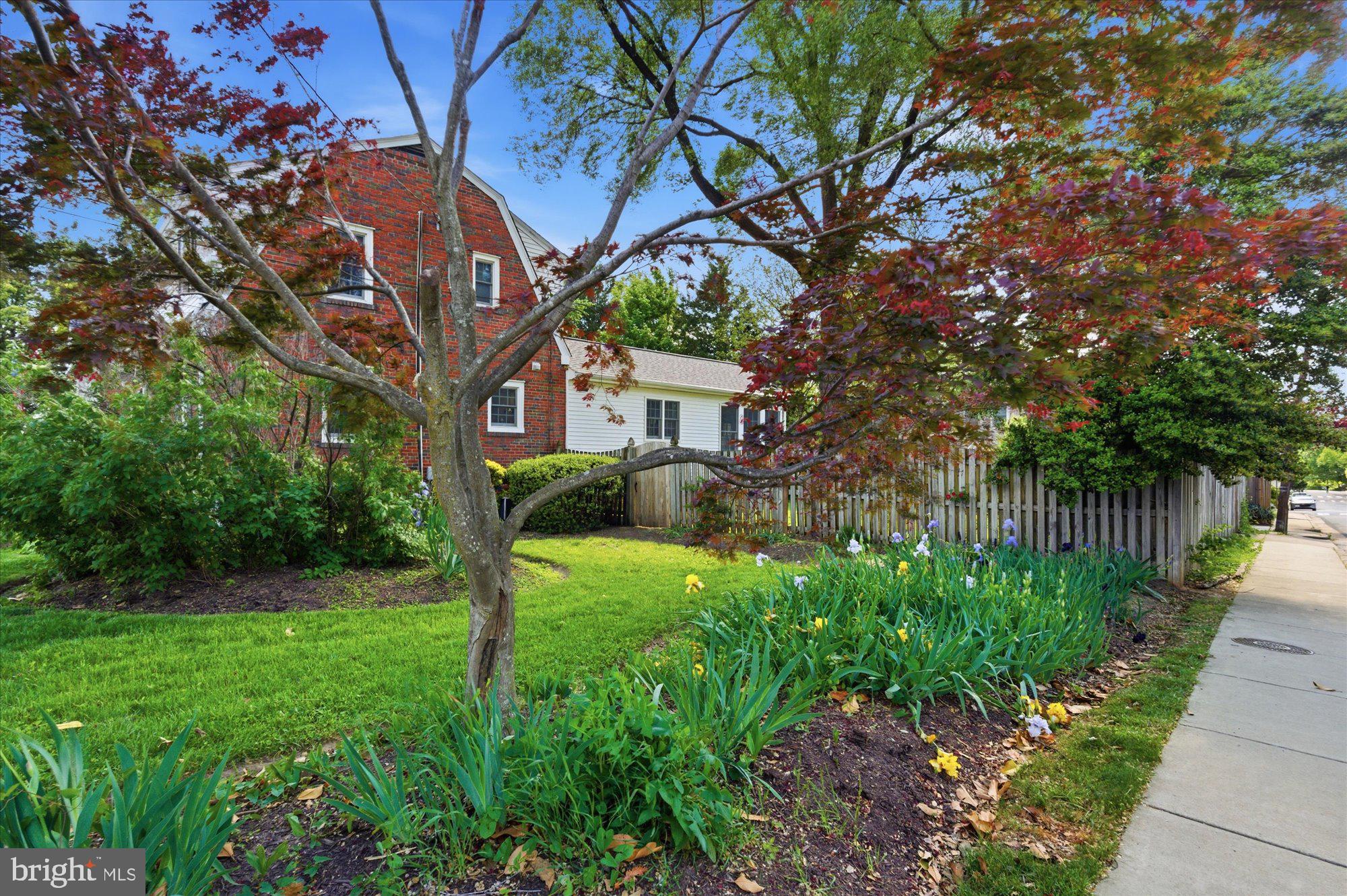 2434 CAMERON MILLS ROAD