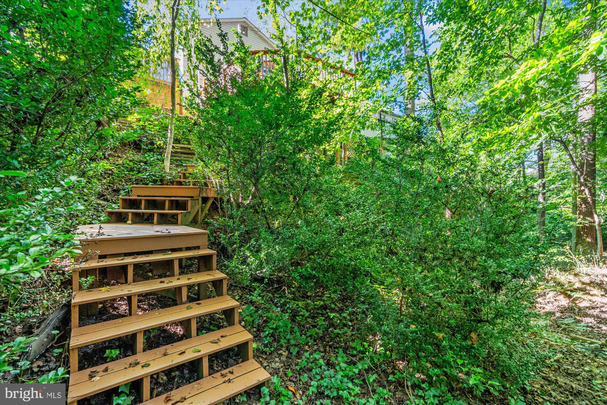 6123 BEECH TREE DRIVE