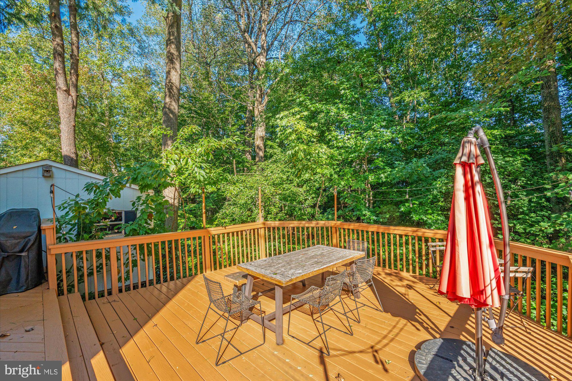 6123 BEECH TREE DRIVE