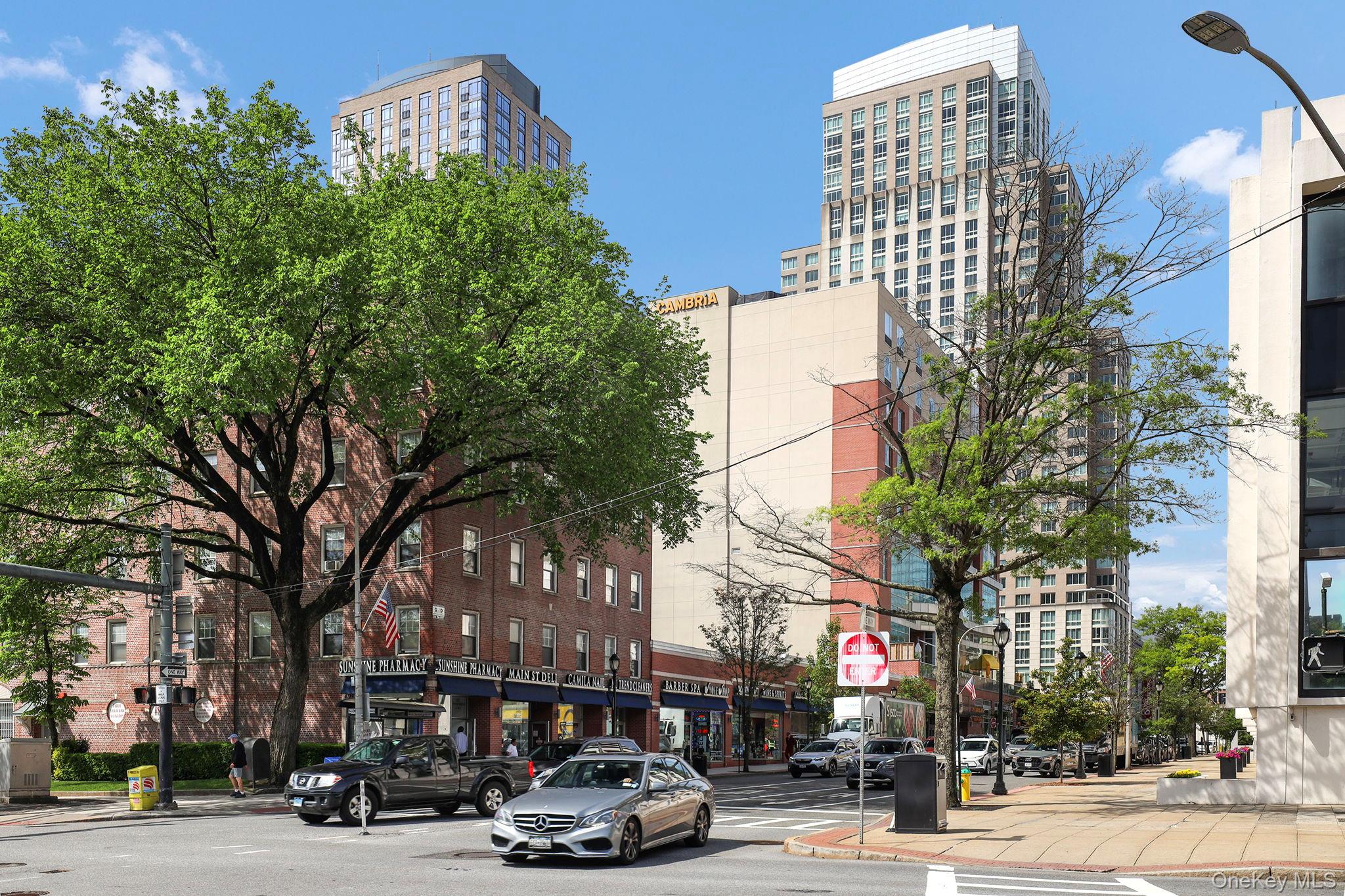 10 North Broadway Unit: 3H