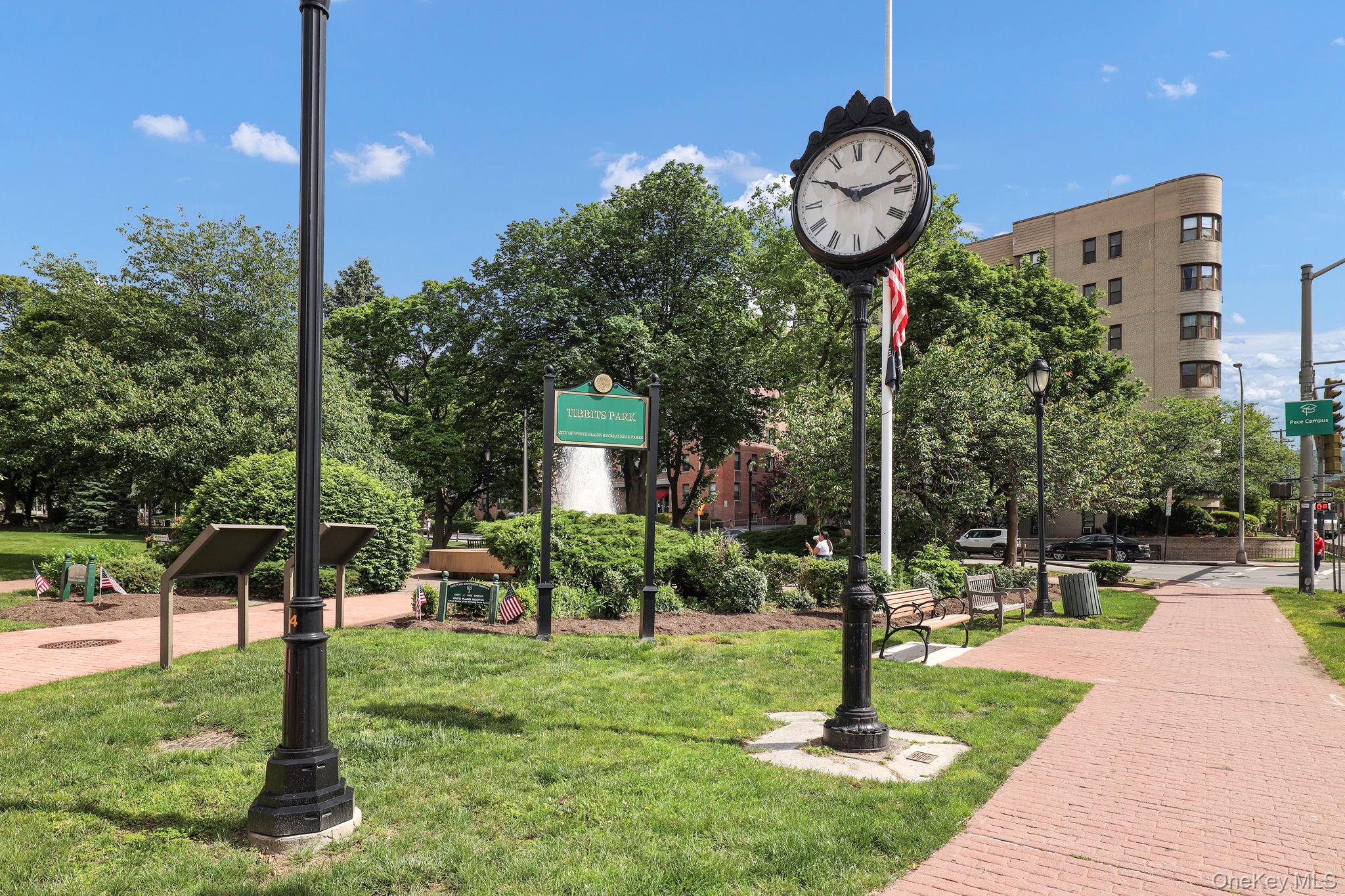 10 North Broadway Unit: 3H