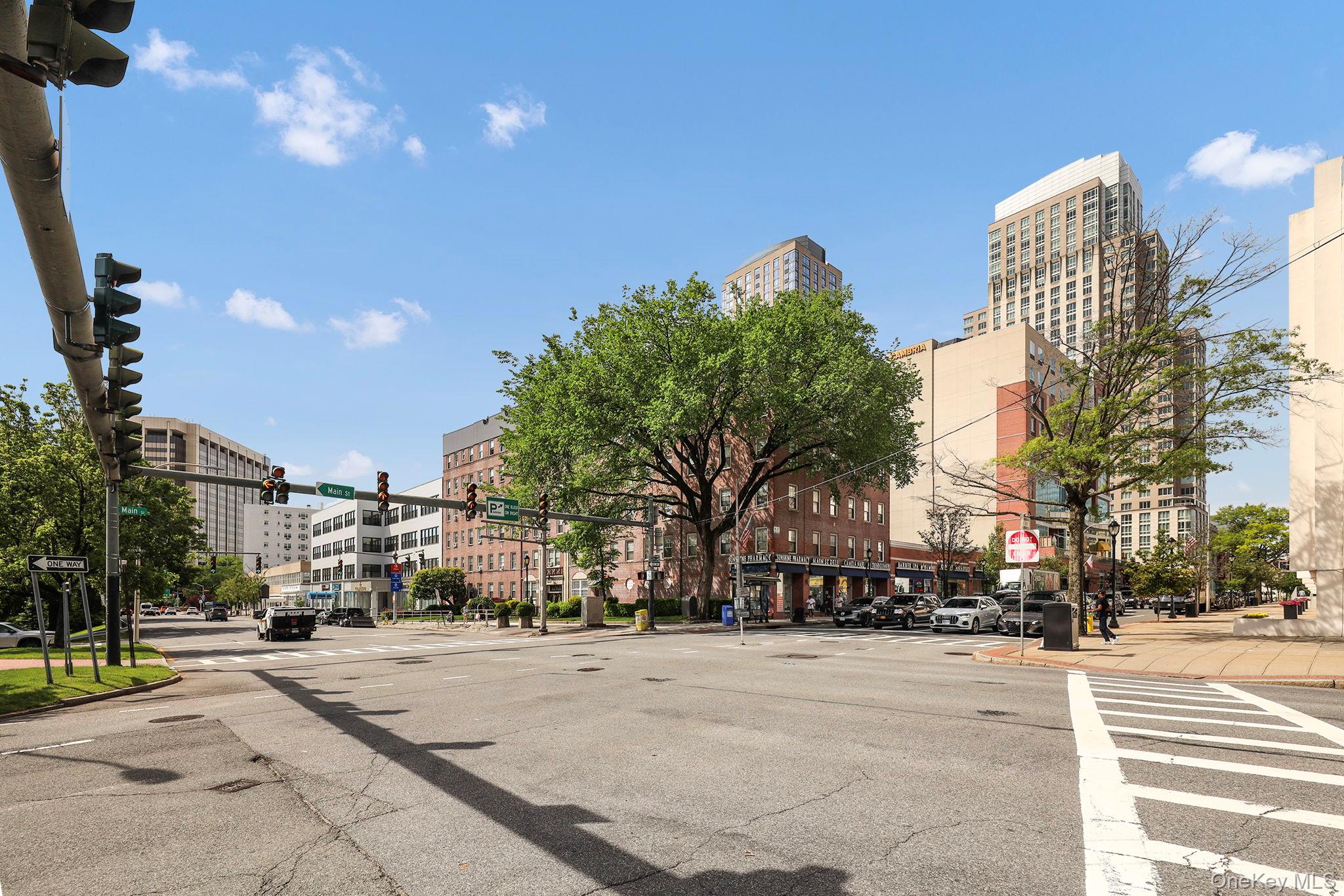 10 North Broadway Unit: 3H