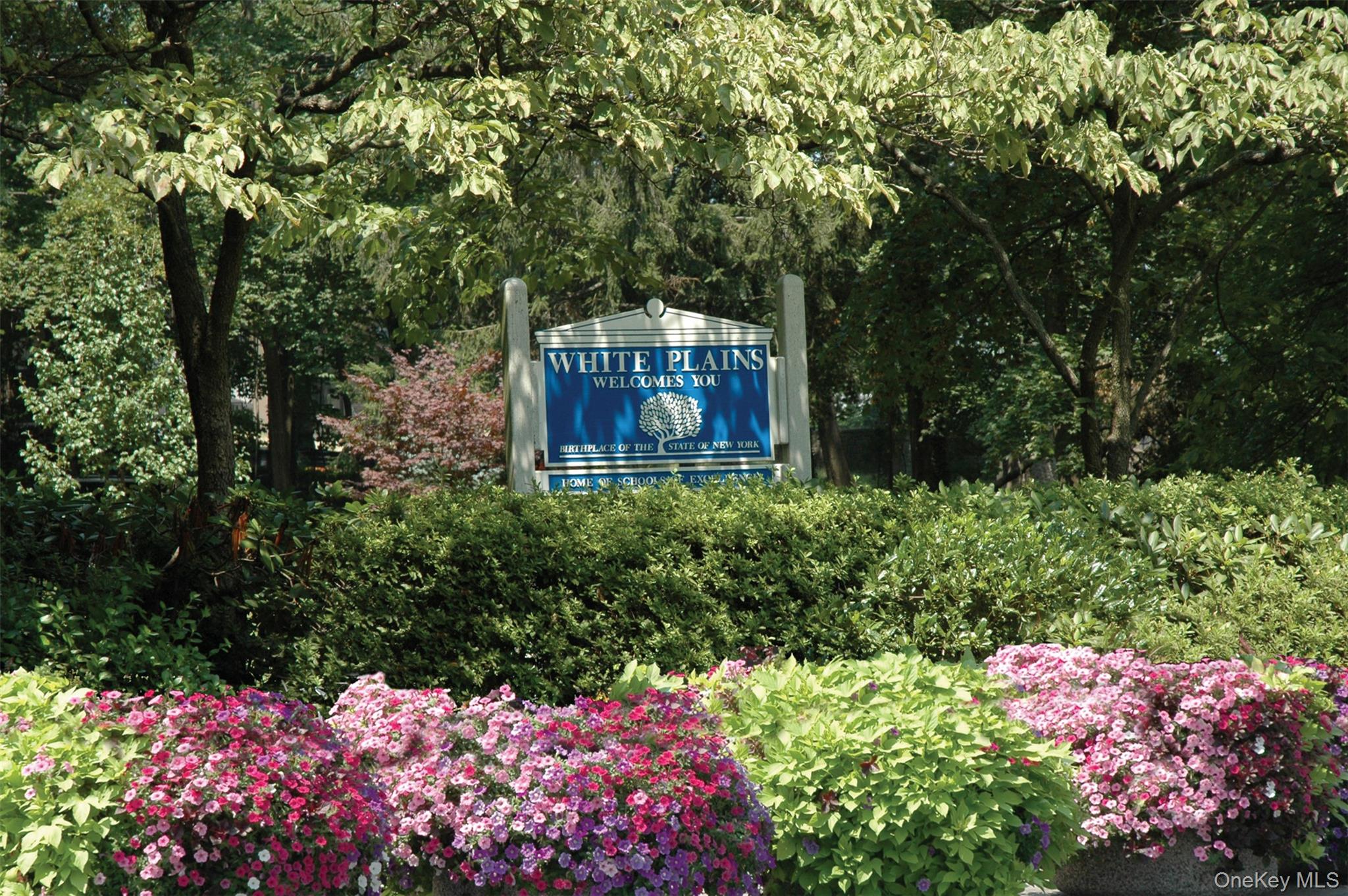 25 Midland Avenue