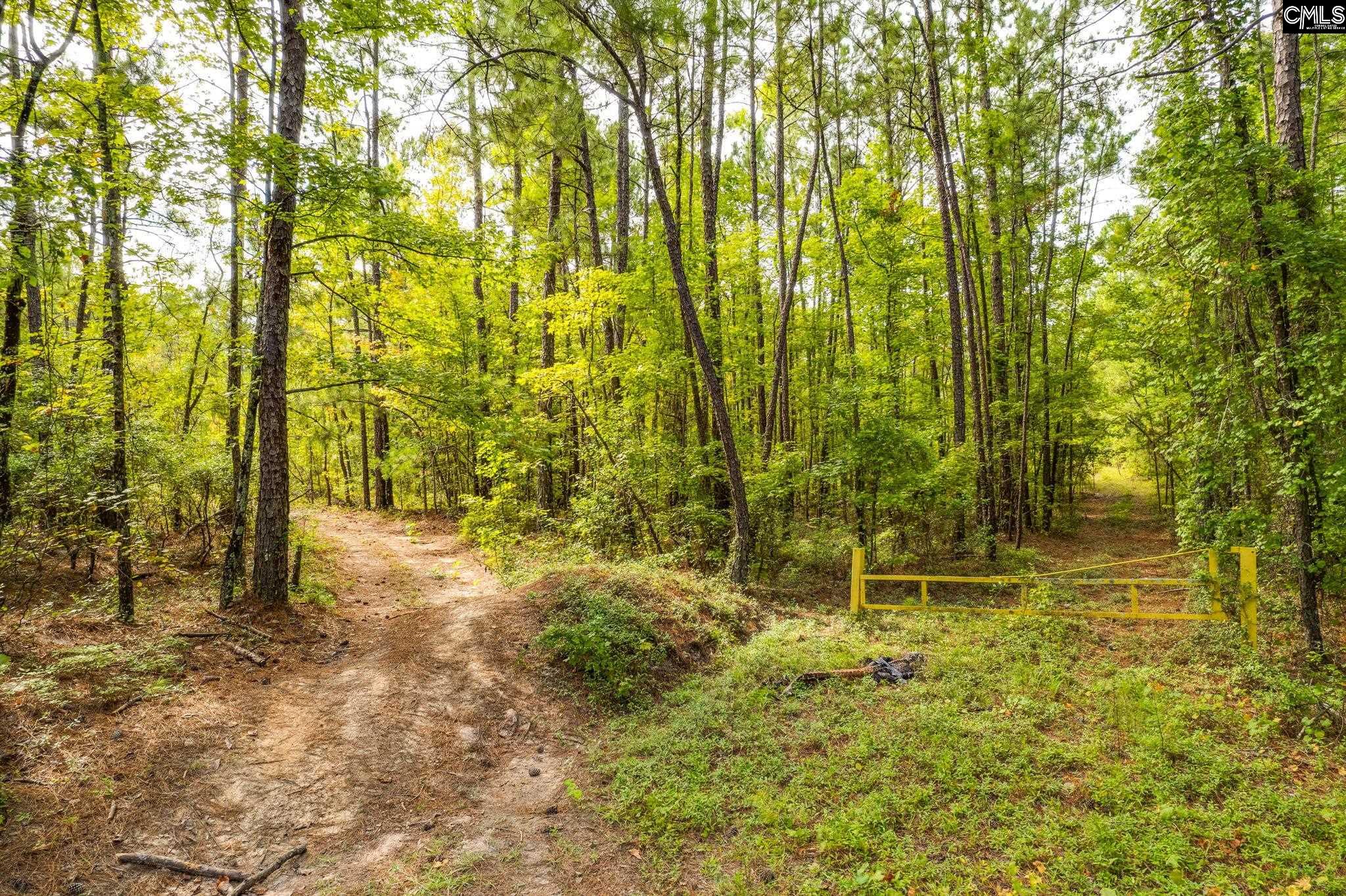 3000 Screaming Eagle Road Extension