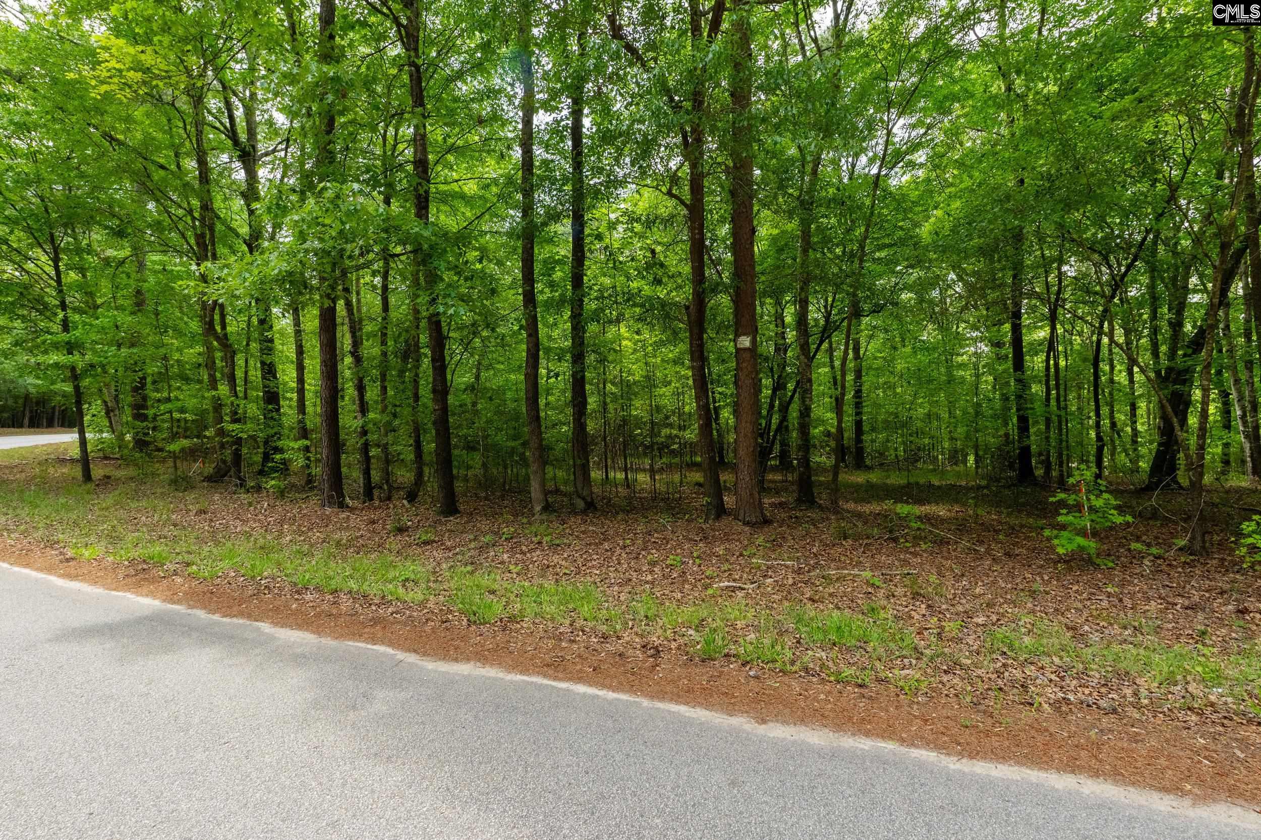 1427-4 Buck Hill Landing Road Lot 4 Unit: 1