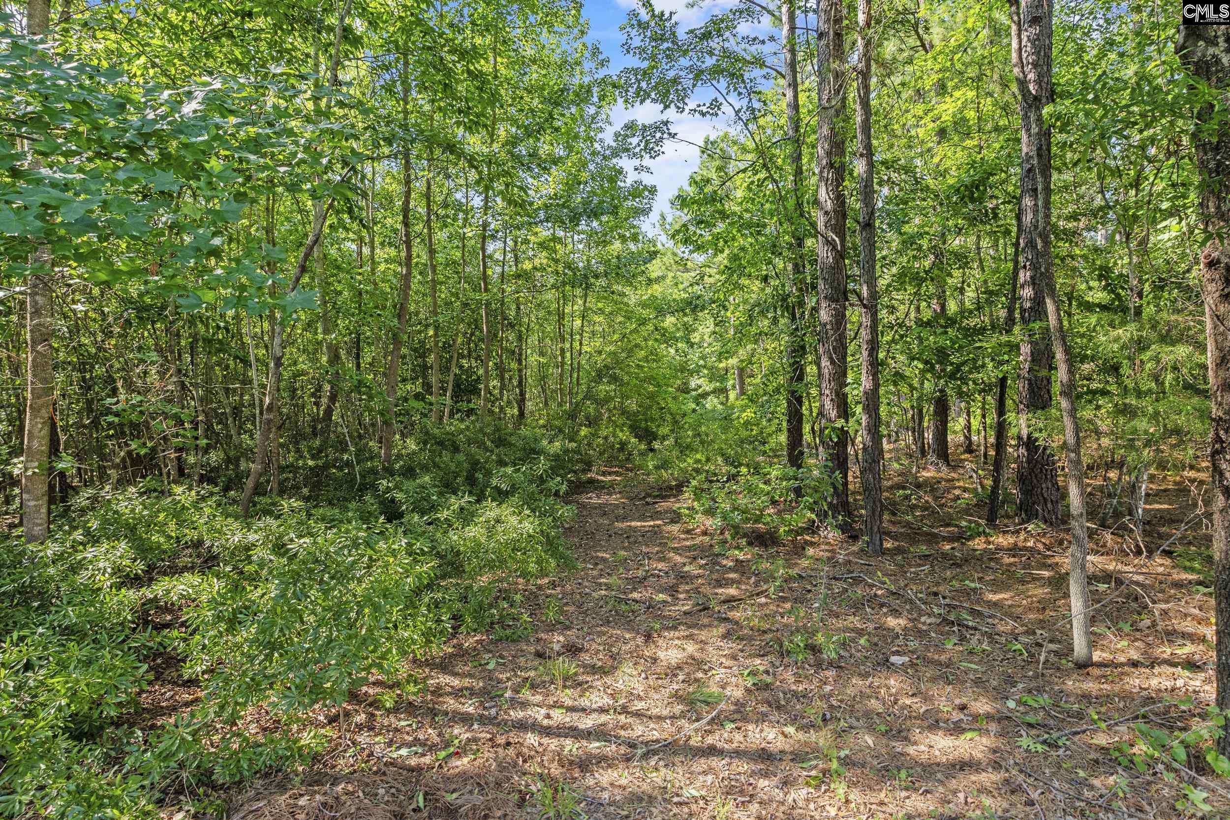 259 Sessions Road