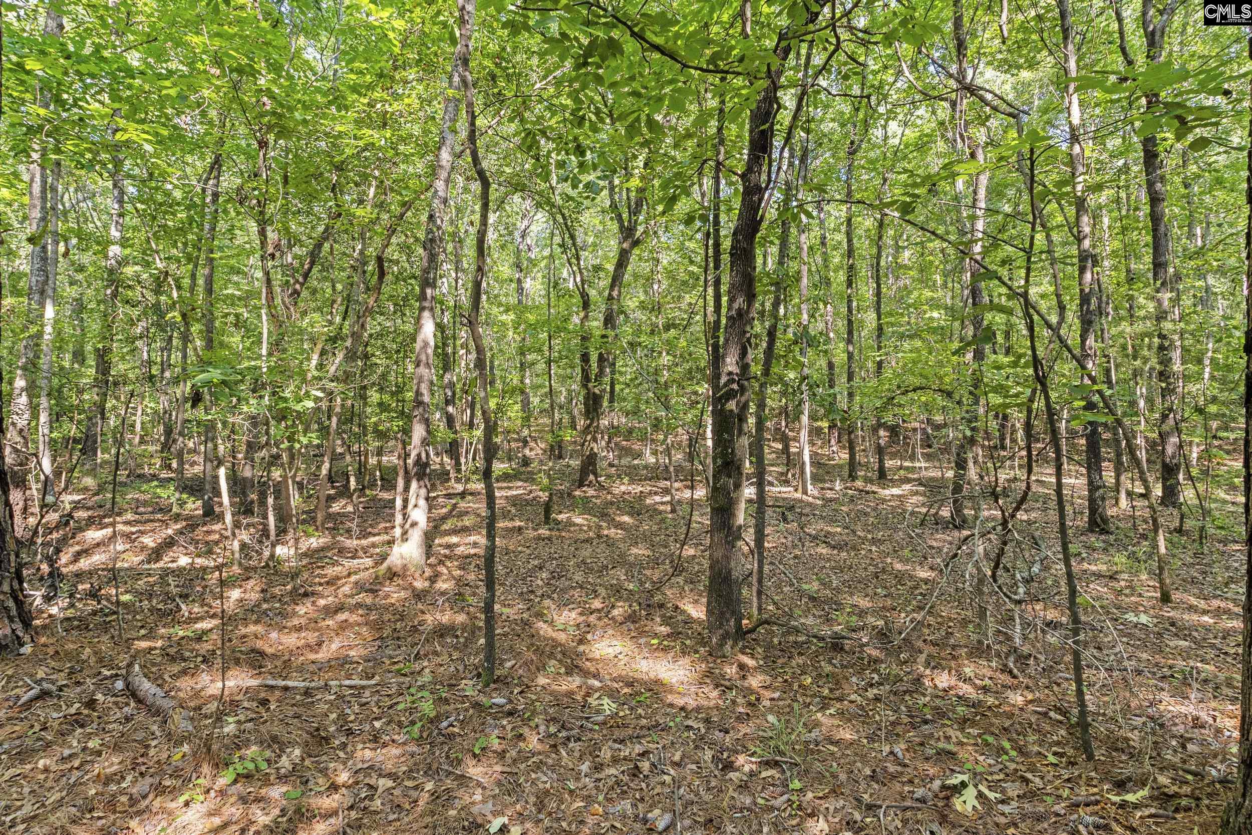 259 Sessions Road