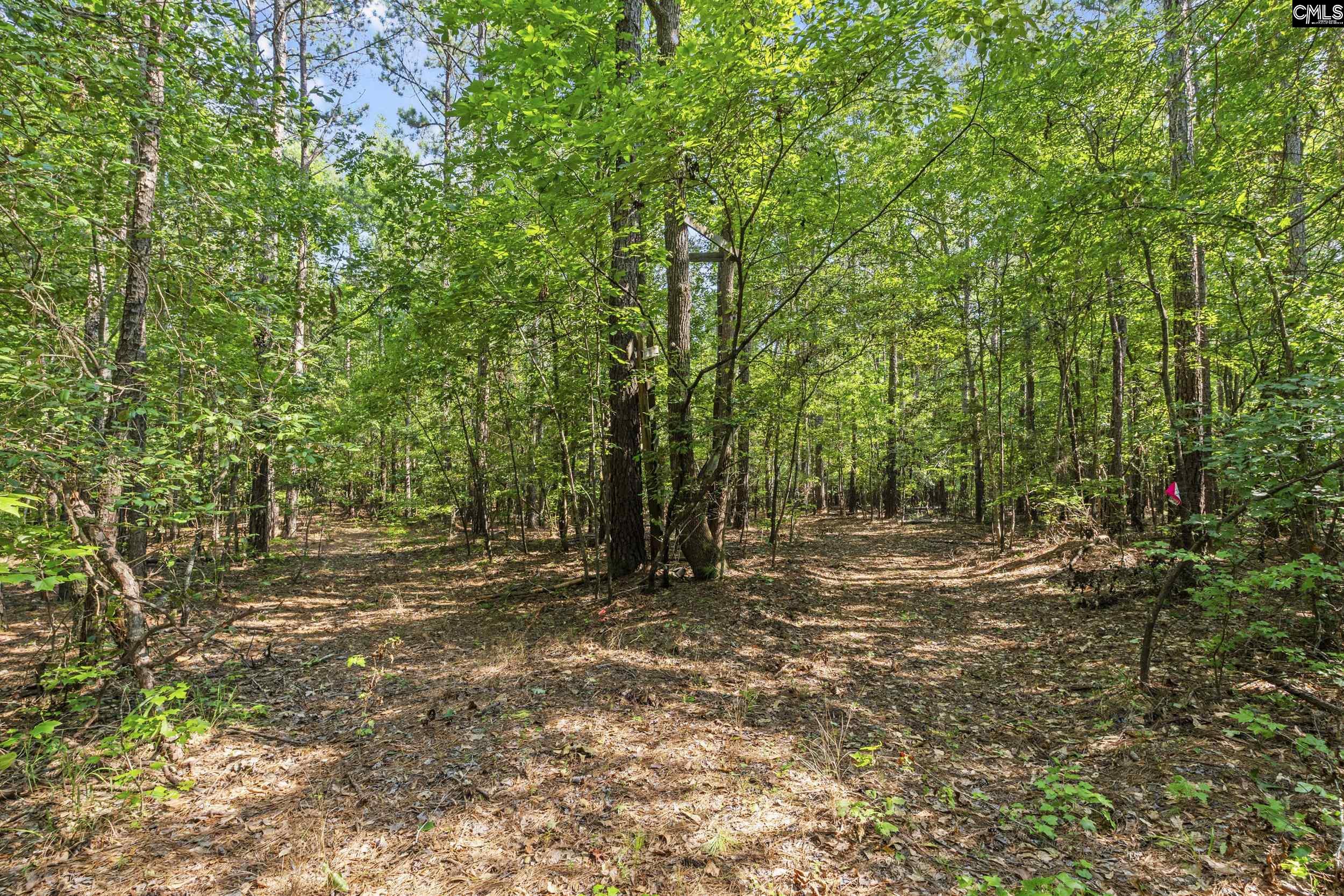 259 Sessions Road