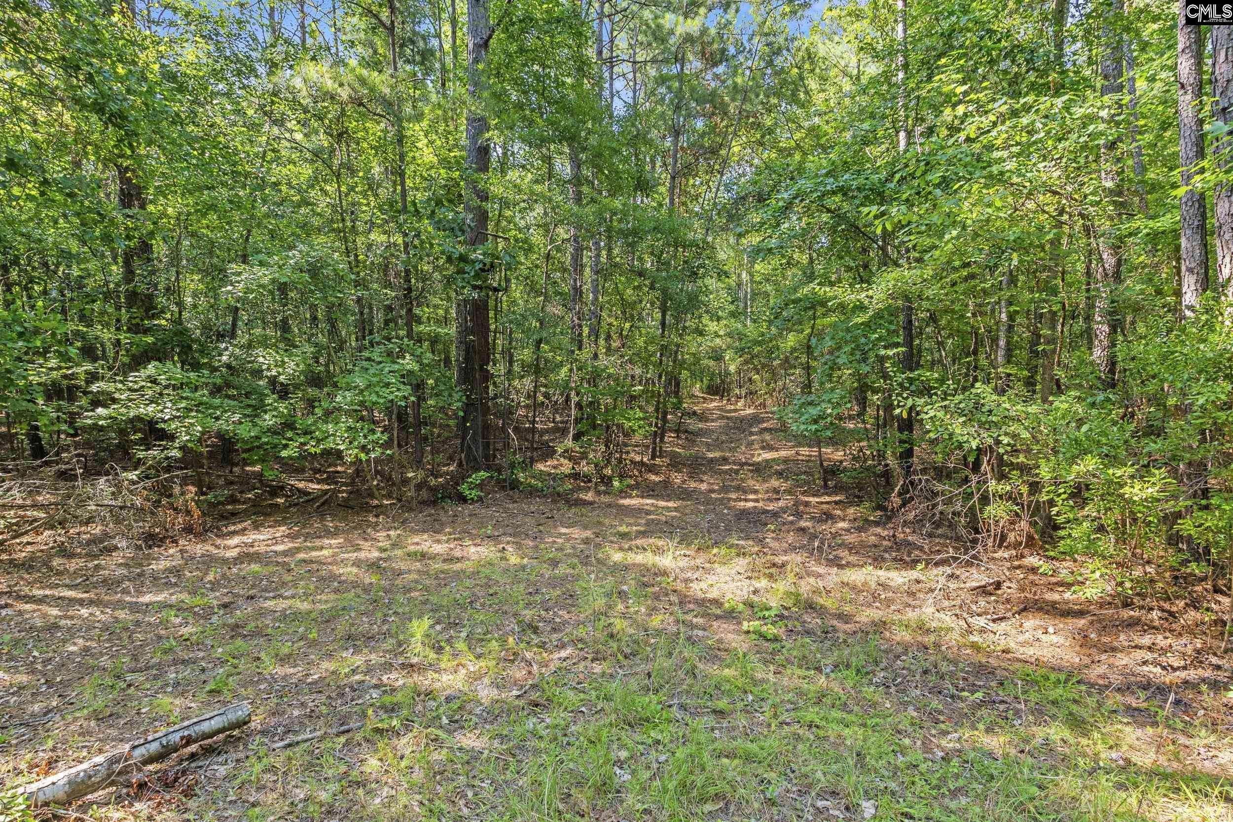 259 Sessions Road