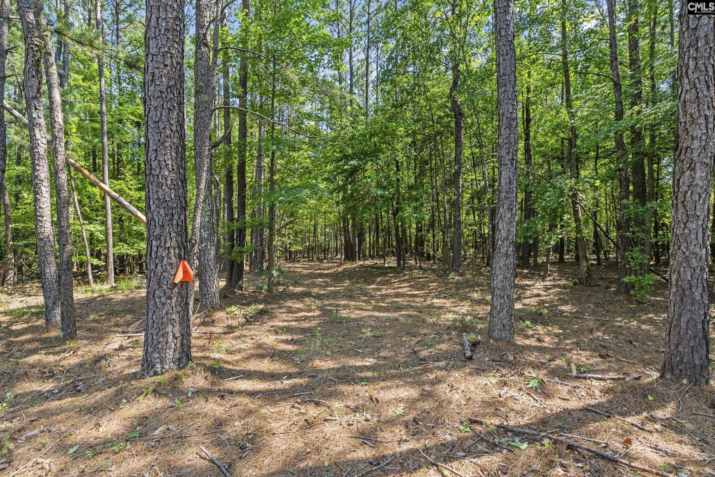 259 Sessions Road