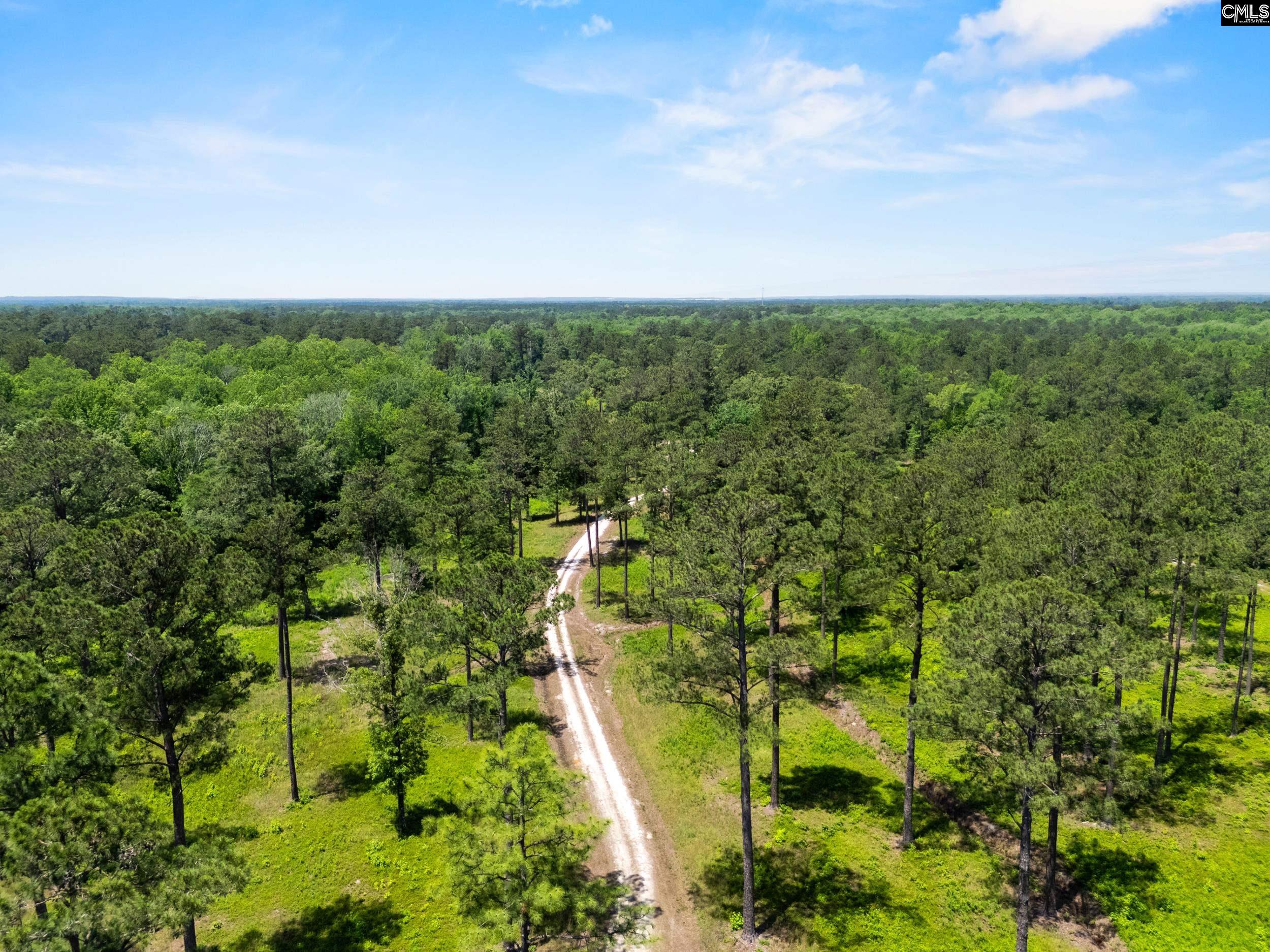 1626 Sumter Highway Lot 2