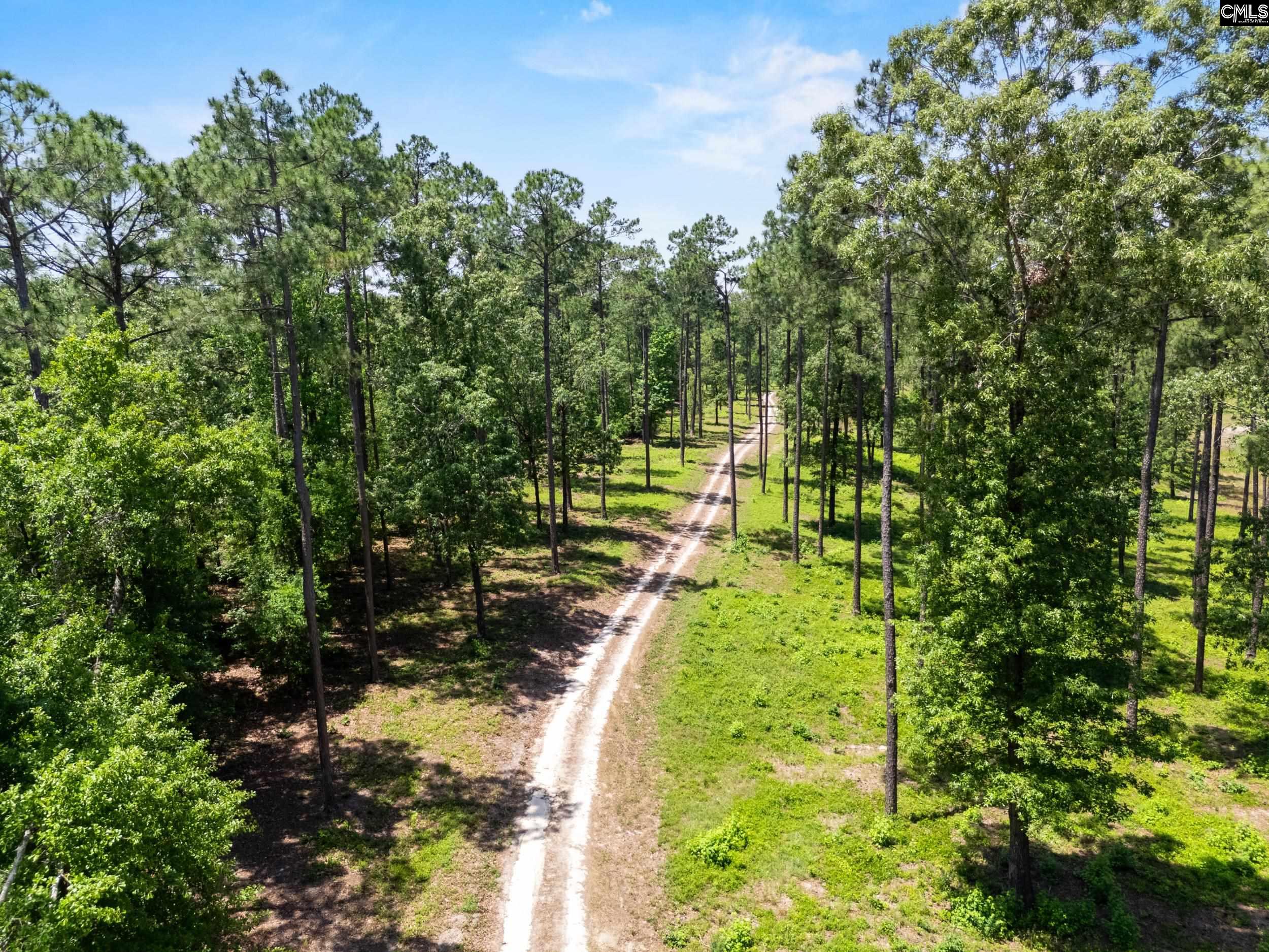 1626 Sumter Highway Lot 2