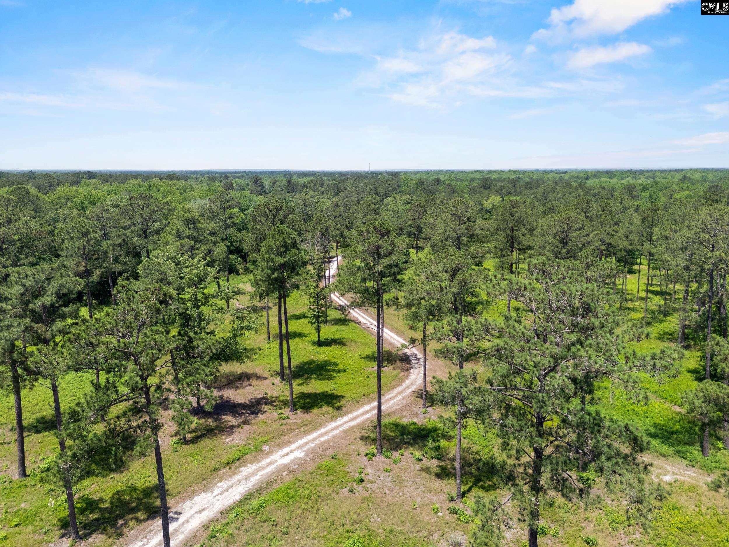 1626 Sumter Highway Lot 2